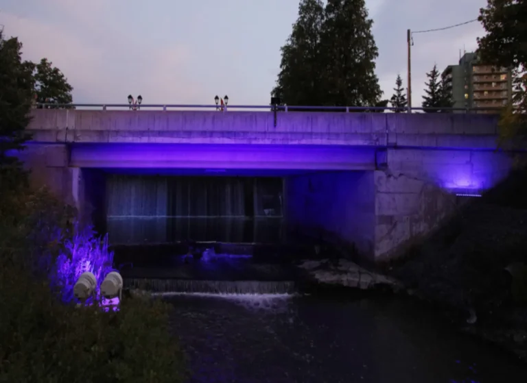 fred-a-lundy-bridge-newmarket